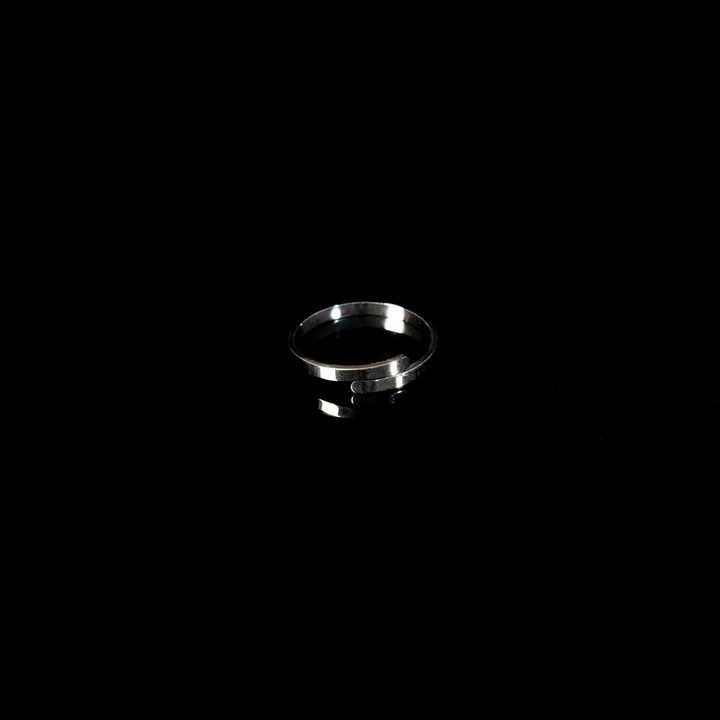 Fusion Loop ring