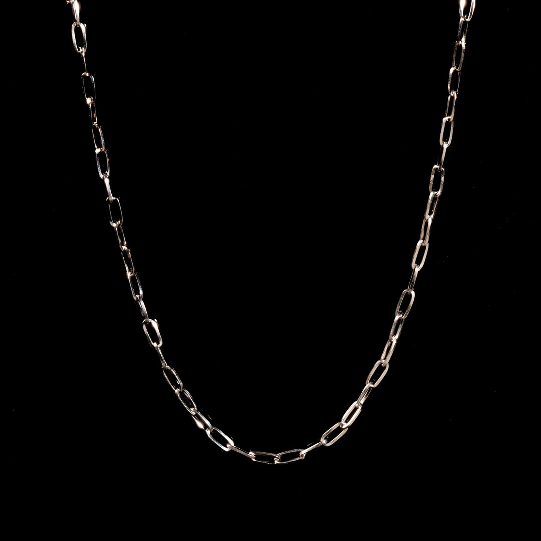 Chain Link necklace